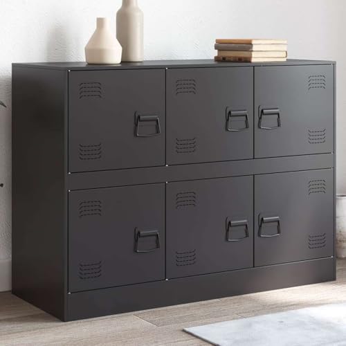 Qnhdfrt Sideboard Schwarz Kaltgewalzter Stahl 99x39x73 cm mit 6 Fächern Stabile Aufbewahrung für Wohnzimmer Flur von Qnhdfrt