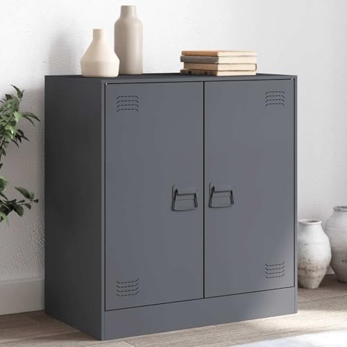Qnhdfrt Sideboard aus kaltgewalztem Stahl Anthrazit 67x39x73 cm mit 4 Fächern und 2 Griffen Robuster Aufbewahrungsschrank für Wohnzimmer Küche Flur von Qnhdfrt