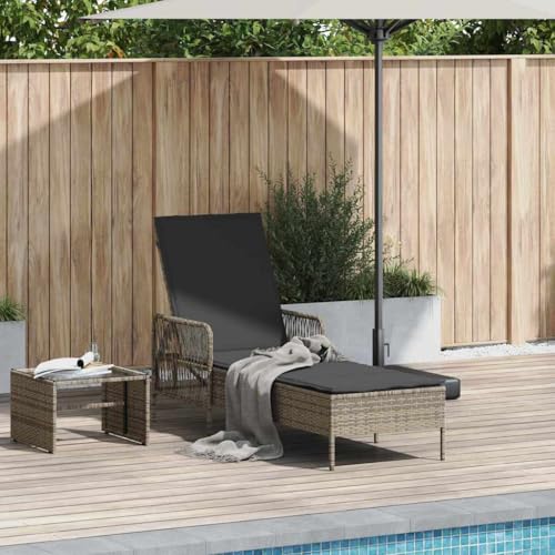 Qnhdfrt Sonnenliege Grau Dunkelgrau PE Rattan Klappbar Faltbar mit Verstellbarer Rückenlehne für Garten Terrasse Pool und Strand von Qnhdfrt