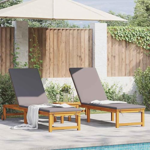 Qnhdfrt Sonnenliegen 2er Set mit grauen Kissen aus massivem Akazienholz, verstellbare Armlehnen & integrierten Rädern für Terrasse, Balkon und Garten von Qnhdfrt