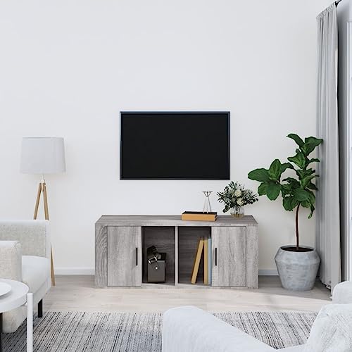 Qnhdfrt TV-Schrank Grau Sonoma 100x35x40 cm Holzwerkstoff Modernes Design mit 4 Fächern und Tür für Wohnzimmer Möbel Qnhdfrt TV-Schrank Grau Sonoma 100x35x40 cm Holzwerkstoff Modernes Design mit 4 Fächern und Tür für Wohnzimmer Möbel von Qnhdfrt