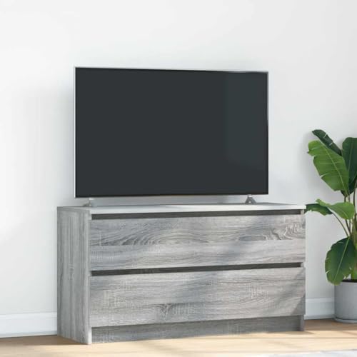 Qnhdfrt TV Schrank Grau Sonoma 100x35x54 cm mit 2 Schubladen Holzwerkstoff TV Board Lowboard Fernsehtisch Modernes Design für Wohnzimmer Qnhdfrt TV Schrank Grau Sonoma 100x35x54 cm mit 2 Schubladen Holzwerkstoff TV Board Lowboard Fernsehtisch Modernes Design für Wohnzimmer von Qnhdfrt