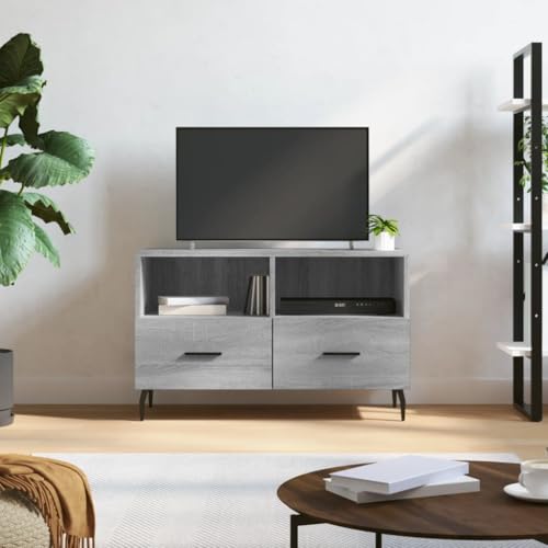 Qnhdfrt TV-Schrank Grau Sonoma 80x36x50 cm Lowboard mit 2 Fächern und 2 Schubladen aus Holzwerkstoff Eisenbeinen Modernes Design für Wohnzimmer Qnhdfrt TV-Schrank Grau Sonoma 80x36x50 cm Lowboard mit 2 Fächern und 2 Schubladen aus Holzwerkstoff Eisenbeinen Modernes Design für Wohnzimmer von Qnhdfrt