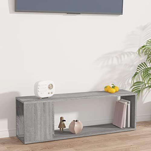 Qnhdfrt TV-Schrank Grau Sonoma aus Holzwerkstoff 100x24x32 cm Schmal Modernes Design mit 2 Ablagen Stauraum für Wohnzimmer von Qnhdfrt