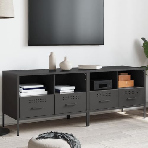 Qnhdfrt TV-Schrank Lowboard Schwarz 68x39x50,5 cm Kaltgewalzter Stahl 2 Stück mit Verstellbaren Füßen für Wohnzimmer Schlafzimmer Industrie-Stil von Qnhdfrt