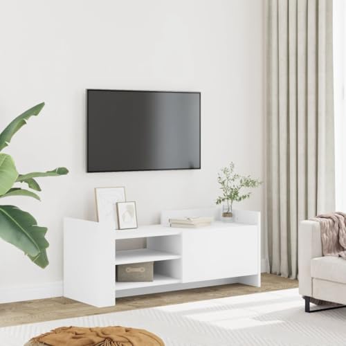 Qnhdfrt TV-Schrank Lowboard Weiß 100x35x40 cm Holzwerkstoff mit Praktischer Tür und Flexiblem Stauraum für Wohnzimmer oder Schlafzimmer – Modernes Design und Einfache Pflege von Qnhdfrt