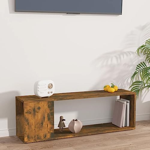 Qnhdfrt TV-Schrank Räuchereiche 100x24x32 cm Holzwerkstoff mit 2 Ablagen Modernes Design für Wohnzimmer als Stauraum Lösung Qnhdfrt TV-Schrank Räuchereiche 100x24x32 cm Holzwerkstoff mit 2 Ablagen Modernes Design für Wohnzimmer als Stauraum Lösung von Qnhdfrt