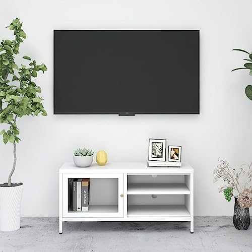 Qnhdfrt TV Schrank Weiß 90x30x44 cm aus Stahl und Glas mit verstellbaren Regalen Modernes Design für Wohnzimmer von Qnhdfrt