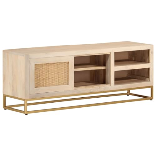 Qnhdfrt TV-Schrank aus Massivholz Mango mit Eisenbeinen 110x30x40 cm Robuster Stauraum Modernes Design für Wohnzimmer von Qnhdfrt