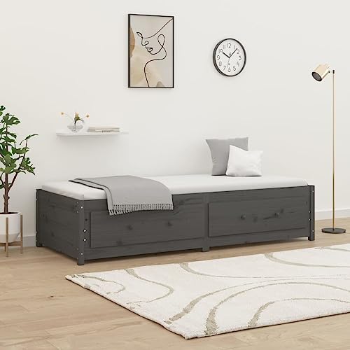 Qnhdfrt Tagesbett Grau 90x200 cm Massivholz Kiefer Sofabett mit Stauraum für Wohnzimmer und Schlafzimmer Robustes Gästebett oder Jugendbett von Qnhdfrt