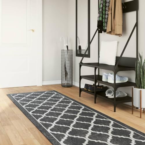 Qnhdfrt Teppich Läufer Wohnzimmer Flur 80x300 cm Schwarz Weiß rutschfeste Unterseite Weicher Samt Geräuschdämmend Maschinenwaschbar Modernes Design für Wohnzimmer, Schlafzimmer und Flur von Qnhdfrt