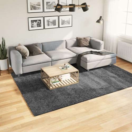 Qnhdfrt Teppich Oviedo Anthrazit 200x280 cm weicher Wohnzimmerteppich aus 100% Polyester mit kuscheliger Teddy-Optik für Wohnzimmer, Schlafzimmer und Flur Qnhdfrt Teppich Oviedo Anthrazit 200x280 cm weicher Wohnzimmerteppich aus 100% Polyester mit kuscheliger Teddy-Optik für Wohnzimmer, Schlafzimmer und Flur von Qnhdfrt