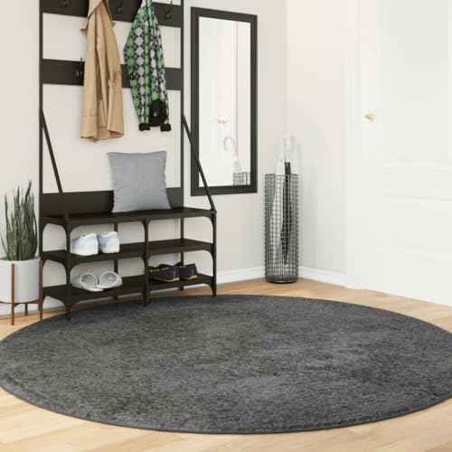 Qnhdfrt Teppich Oviedo moderner Kurzflor Teppich aus 100% Polyester Anthrazit Ø 200 cm weich & flauschig für Wohnzimmer Schlafzimmer und Flur mit Fußbodenheizung Qnhdfrt Teppich Oviedo moderner Kurzflor Teppich aus 100% Polyester Anthrazit Ø 200 cm weich & flauschig für Wohnzimmer Schlafzimmer und Flur mit Fußbodenheizung von Qnhdfrt