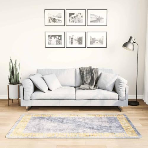 Qnhdfrt Teppich Wohnzimmer Grau 80x150 cm Weicher Samt rutschfeste Unterseite Schalldämpfend Maschinenwaschbar Modernes Design für Wohnzimmer, Schlafzimmer und Flur von Qnhdfrt