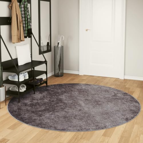 Qnhdfrt Teppich Wohnzimmer Grau Ø 200 cm Weicher Samt rutschfeste Unterseite Geräuschdämmend Modernes Design für Wohnzimmer, Schlafzimmer und Flur von Qnhdfrt