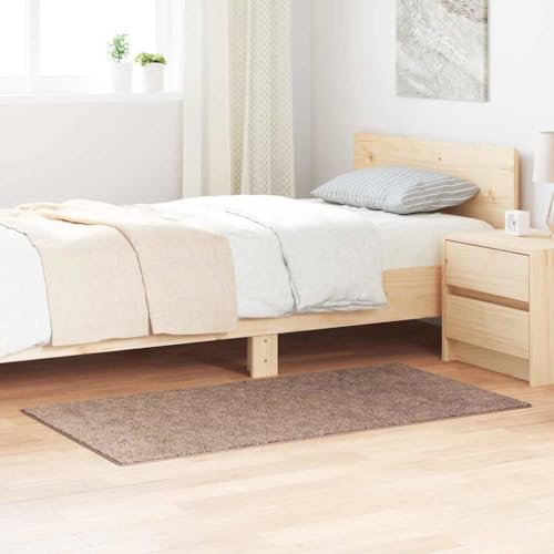 Qnhdfrt Teppich Wohnzimmer Modern Rechteckig Braun Hochwertiges Polypropylen Langlebig Geräuschdämmend Strukturiert für Schlafzimmer Büro von Qnhdfrt