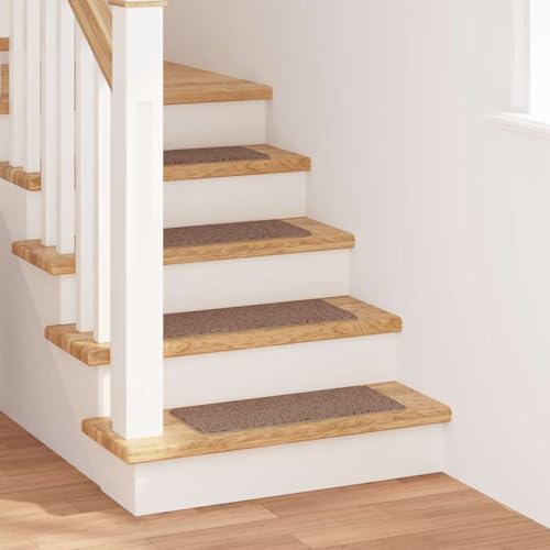 Qnhdfrt Treppenstufen Matte Braun 25x60 cm Antirutsch Stufenmatten aus Polypropylen mit Texturierter Oberfläche für Sichere und Stilvolle Treppen Qnhdfrt Treppenstufen Matte Braun 25x60 cm Antirutsch Stufenmatten aus Polypropylen mit Texturierter Oberfläche für Sichere und Stilvolle Treppen von Qnhdfrt