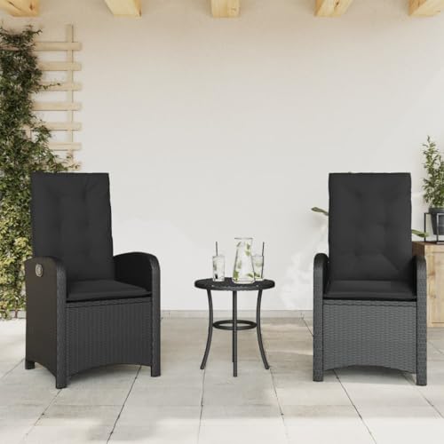 Qnhdfrt Verstellbarer Gartensessel mit Kissen 2er Set Schwarz PE-Rattan Outdoor Gartenmöbel für Balkon Camping Lounge Bequeme Relaxsessel von Qnhdfrt