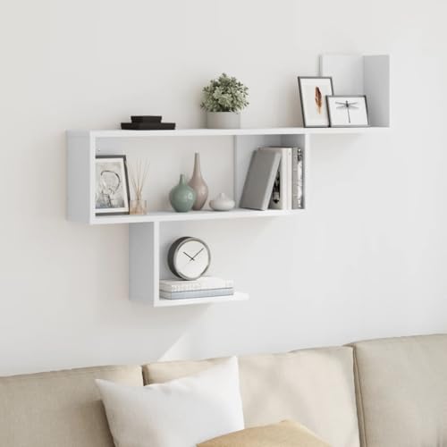 Qnhdfrt Wandregal Weiß Holzwerkstoff Schwebend 100 x 70 cm Schmal für Wohnzimmer Bad Küche – Modernes Design mit Stauraum von Qnhdfrt