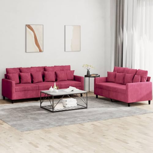 Qnhdfrt Weinrot Samt Sofagarnitur 2-TLG. Set: Bequemes 2-Sitzer und 3-Sitzer Sofa mit Kissen, Robustes Gestell für Wohnzimmer und Loungebereich von Qnhdfrt