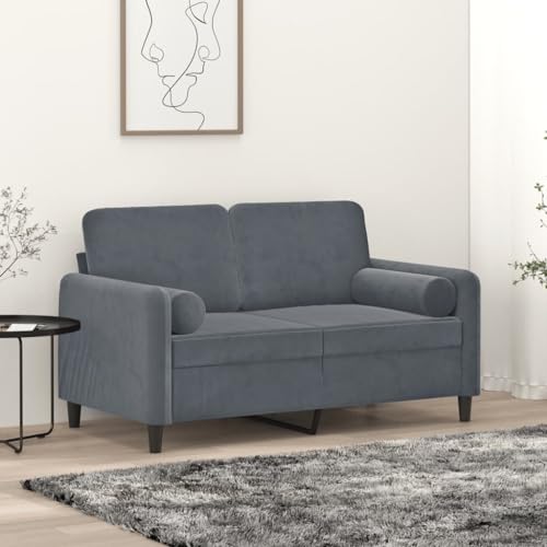 Qnhdfrt Zweisitzer Sofa Couch Dunkelgrau 120 cm Samt Modernes Design mit Zierkissen Robustes Metallgestell für Wohnzimmer Loungebereich Qnhdfrt Zweisitzer Sofa Couch Dunkelgrau 120 cm Samt Modernes Design mit Zierkissen Robustes Metallgestell für Wohnzimmer Loungebereich von Qnhdfrt