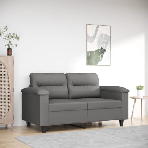 Qnhdfrt Zweisitzer Sofa Couch Dunkelgrau Mikrofasergewebe 120 cm Kompakt Modern Bequem für Wohnzimmer Lounge Esszimmer Qnhdfrt Zweisitzer Sofa Couch Dunkelgrau Mikrofasergewebe 120 cm Kompakt Modern Bequem für Wohnzimmer Lounge Esszimmer von Qnhdfrt