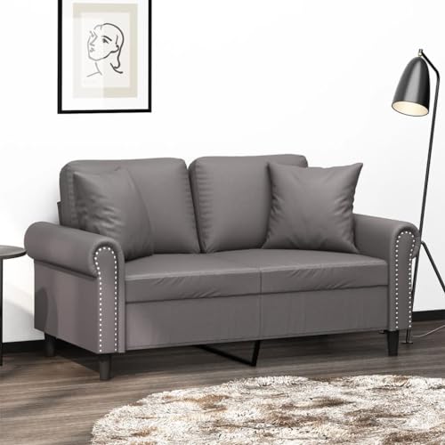 Qnhdfrt Zweisitzer Sofa Grau Kunstleder 120 cm Modernes Design mit Zierkissen Robust und Bequem für Wohnzimmer Balkon oder Küchenbereich Qnhdfrt Zweisitzer Sofa Grau Kunstleder 120 cm Modernes Design mit Zierkissen Robust und Bequem für Wohnzimmer Balkon oder Küchenbereich von Qnhdfrt