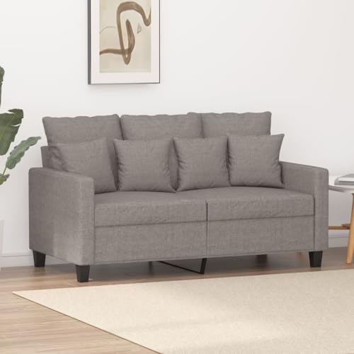 Qnhdfrt Zweisitzer Sofa Stoff Taupe 120 cm Modernes Design Robustes Metallgestell Bequem für Wohnzimmer Jugendzimmer Qnhdfrt Zweisitzer Sofa Stoff Taupe 120 cm Modernes Design Robustes Metallgestell Bequem für Wohnzimmer Jugendzimmer von Qnhdfrt