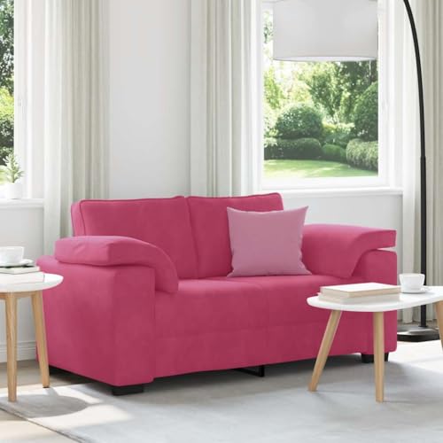 Qnhdfrt Zweisitzer-Sofa Weinrot 120 cm Samt Komfortables Relaxsofa mit Stabilen Gestell für Wohnzimmer Schlafzimmer und Arbeitszimmer Modernes Design von Qnhdfrt