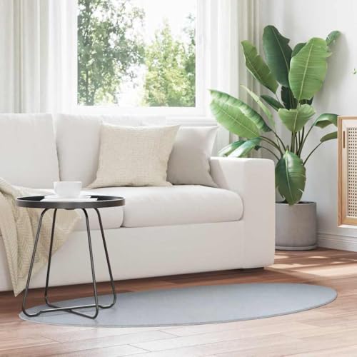 Qnhdfrt stylischer Teppich mit Matter Oberfläche aus Polyester Grau 80x150 cm weich und robust für Wohnzimmer, Schlafzimmer und Flur von Qnhdfrt