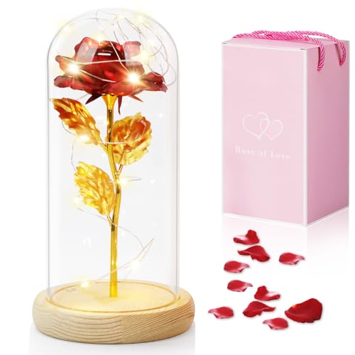 Qoolife Die Schöne und das Biest Rose, Ewige Rose im Glas mit LED-Lichter Holzsockel für Sie, Rose im Glas Geschenk auf Weihnachten, Valentines, Konservierte Blume Geschenk zum Jahrestag von Qoolife