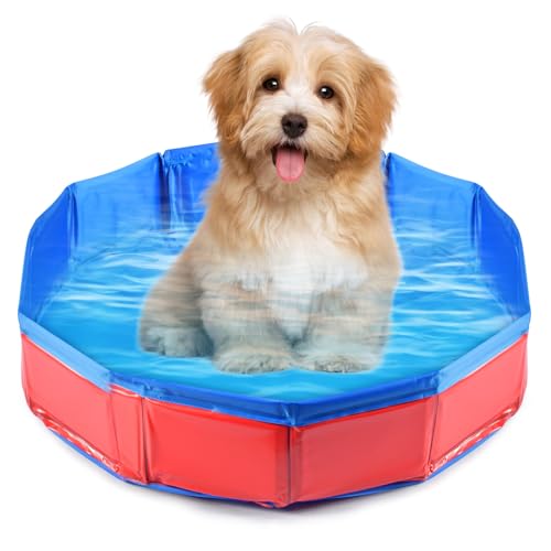 Faltbar Hundepool,Hundepool Schwimmbad für Hunde und Katzen,PVC rutschfeste Schwimmbecken,Tragbare Planschbecken mit Wasserablassventil für Haustier,Hunde Sommer Pool,für Kleine Haustier Hund Katze von Qooloo