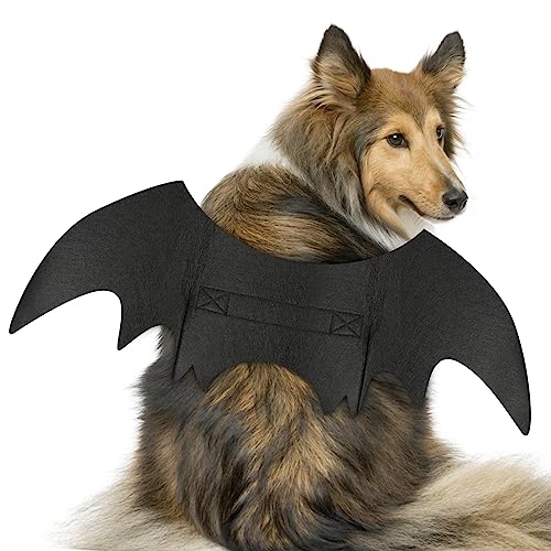 Hund Fledermaus Kostüme, Halloween Haustier Fledermausflügel, Halloween Haustier Kostüm, Hund Katze Vampir Fledermaus Flügel Kostüme Cosplay Hundekostüm Katzenkostüm für Party (S) von Qooloo