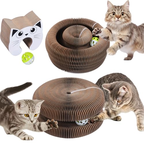 Qoosea Magische Orgel Katzenkratzbrett katzenspielzeug, Interaktive Kitten Kratzbrett Cat Toys, Magic Organ Cat Scratching Board mit Glockenball für Innen, Intelligenz Kratzpappe Katzen Spielzeug Set von Qoosea