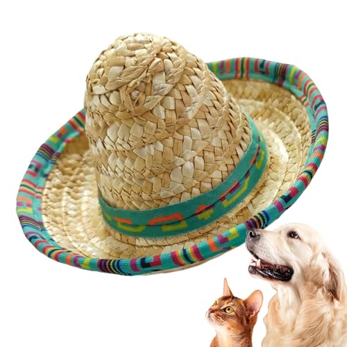 Qoukonao Mini Sombreros | Geflochtene Kleine Sombrero Hütchen | Weitkrempige Kostüm Deko Für Kindergeburtstag Hundefeier - Karneval Fiesta Sommerfest von Qoukonao