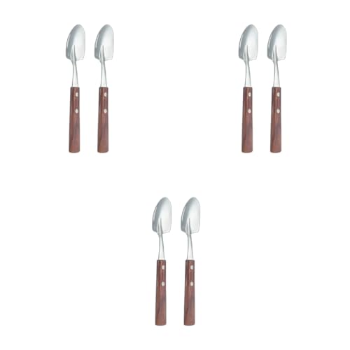 2 Stück Eisschaufel mit Holzgriff, Edelstahl, Dessert-Servierbesteck-Set, Küchenzubehör, Handwäsche, empfohlene Utensilien von Qsvbeeqj