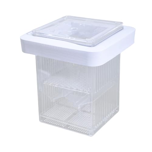 Qsvbeeqj Aquarium Breeder Box Für Fischtankzüchtung Inkubator Kleine Fischbrüte Laichbox Trennungspanzer Einstellbare Trennstärke Bruttanks Qsvbeeqj Aquarium Breeder Box Für Fischtankzüchtung Inkubator Kleine Fischbrüte Laichbox Trennungspanzer Einstellbare Trennstärke Bruttanks von Qsvbeeqj