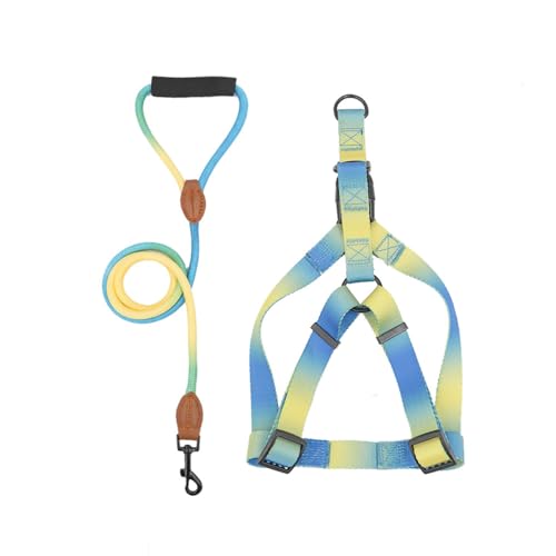 Hundegeschirr mit Leine Nopull Brustgurt für Haustiere Gehen Hunde Weste Geschirr Outdoor Hund Bunt Pet Walking Für Hunde Hundegeschirr mit Leine Nopull Brustgurt für Haustiere Gehen Hunde Weste Geschirr Outdoor Hund Bunt Pet Walking Für Hunde von Qsvbeeqj