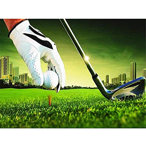 Diamant Malerei 5D Set Golfsport Diamant Painting DIY Diamant Gemälde Strasssteine Kreuzstich Set Diamandhandwerk Malliebhaber Als Geschenk 25x35cm K-857 Diamant Malerei 5D Set Golfsport Diamant Painting DIY Diamant Gemälde Strasssteine Kreuzstich Set Diamandhandwerk Malliebhaber Als Geschenk 25x35cm K-857 von Quaall