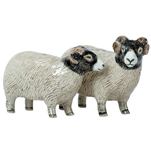 Quail Ceramics Swaledale Schafen Salz & Pfefferstreuer von Quail Ceramics