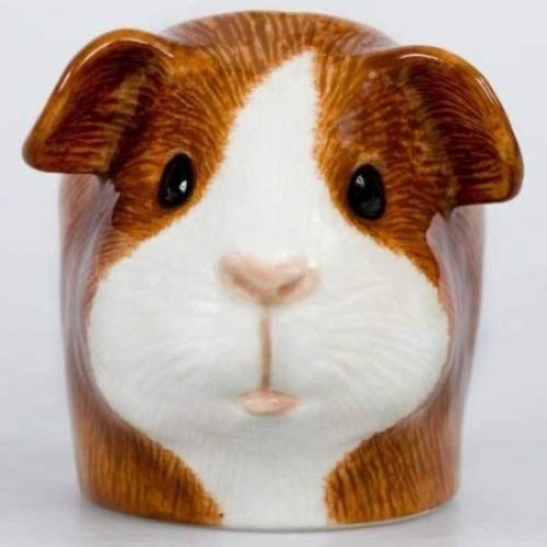 Quail Ceramics – Guinea Pig Face Eierbecher – Dutch (braun & weiß) von Quail