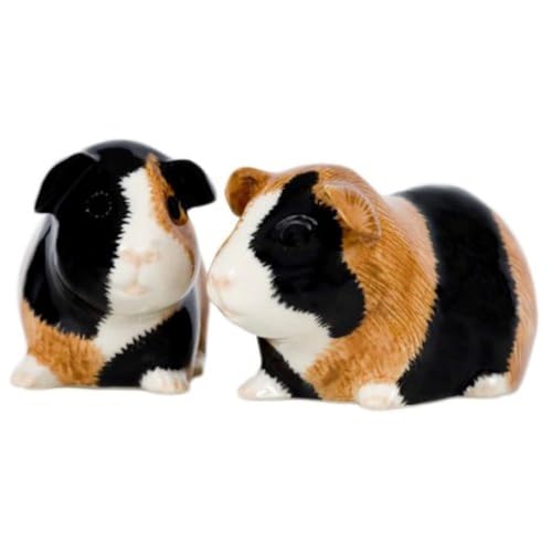 Quail Ceramics - Guinea Pig Salt And Pepper Pots - Multi-coloured by Quail von Quail