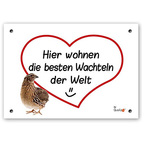 Quailzz Beste Wachteln - Wachtel-Schild DIN A5 - Dekoschild mit Spruch - Wandschild von Quailzz