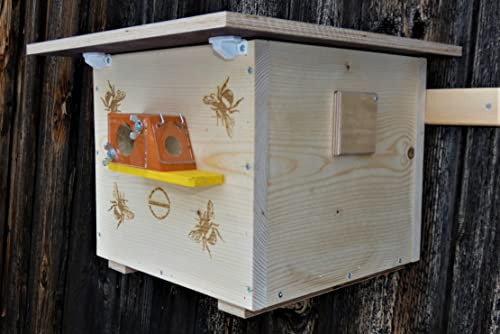 Hummelkasten zum Stellen oder aufhängen, mit Wachsmottensperre, Sichtfenster und Nistmaterial Imprägniert Wetterfest Bienenhaus Hummelhaus Nistkasten Hummelvilla Bienen Insektenhaus Hummelkasten zum Stellen oder aufhängen, mit Wachsmottensperre, Sichtfenster und Nistmaterial Imprägniert Wetterfest Bienenhaus Hummelhaus Nistkasten Hummelvilla Bienen Insektenhaus von Qualität aus Niederbayern ARBRIKADREX