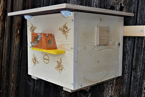 Hummelkasten zum Stellen oder aufhängen, mit Wachsmottensperre, Sichtfenster und Nistmaterial Imprägniert Wetterfest Bienenhaus Hummelhaus Nistkasten Hummelvilla Bienen Insektenhaus von Qualität aus Niederbayern ARBRIKADREX