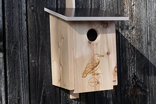 Premium Natur Lärchenholz Nistkasten unbehandelt nach Nabu, massives Vogelhaus Nisthilfe wetterfest 18mm stark verschraubt, Befestigungsmaterial (Alunägel) (Nistkasten Star ohne sitzstange) von Qualität aus Niederbayern ARBRIKADREX