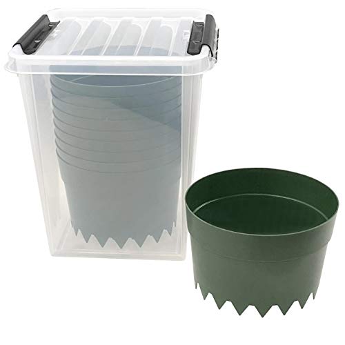 Quality-Collection AQUARING 10er-Set, Ø 20 cm GRÜN in Einer praktischen Aufbewahrungsbox von Quality-Collection