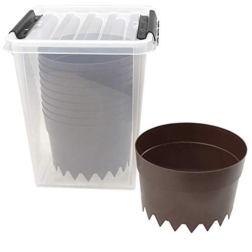 Quality-Collection AQUARING 10er-Set, Ø 20 cm BRAUN in Einer praktischen Aufbewahrungsbox Quality-Collection AQUARING 10er-Set, Ø 20 cm BRAUN in Einer praktischen Aufbewahrungsbox von Quality-Collection