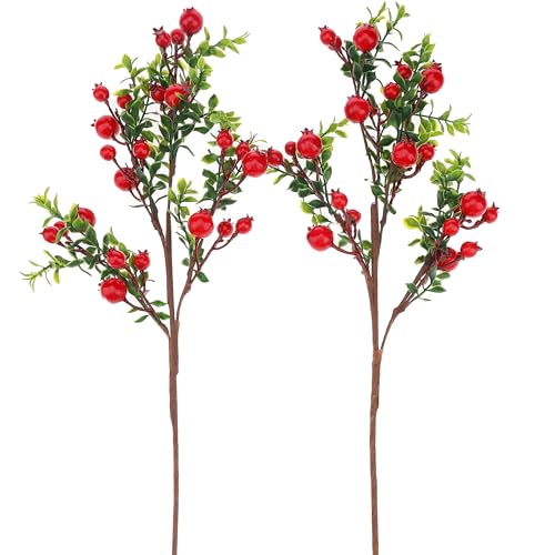 Quancru 2 Stück Künstlicher Granatapfel Zweige 61cm Gefälschte Früchte Blume Realistische Simuliert Pflanzen DIY Blumenarrangement Vase Fotografie von Quancru