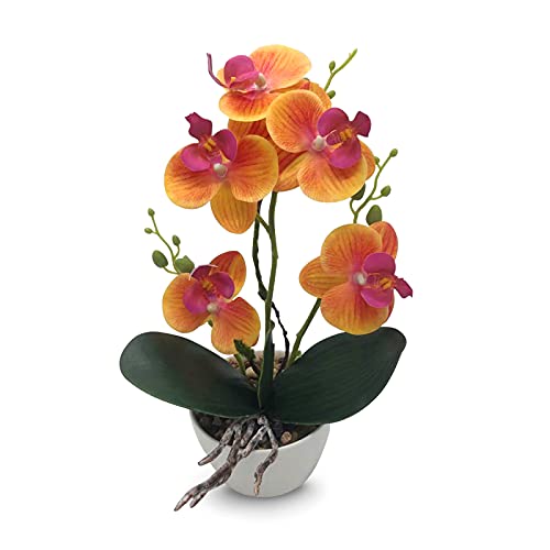 Qucover Klein Kunstpflanze Orchidee Phalaenopsis Orange mit Übertopf aus Keramik weiß，Schön Dekoration für Schlafzimmer Wohnzimmer Balkon Badezimmer Zimmer Tischdeko.(Orange, 28cm von Qucover